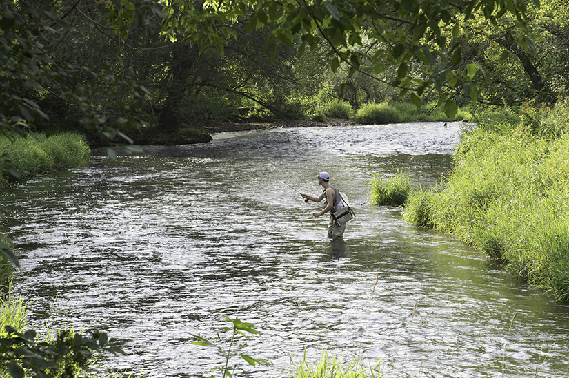 Eli Nord fly fishes in the Kinni River