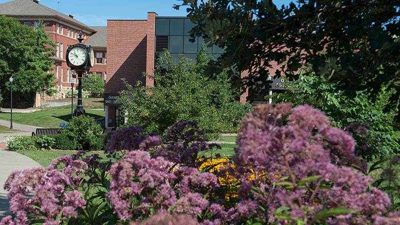 Campus Fall