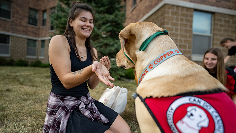 UW-River Falls student Grace Johnson shows Copper, a dog she will help train to be an assistance animal, her open hand after feeding him a treat after Copper and other dogs were dropped off at UWRF Sept. 14. 