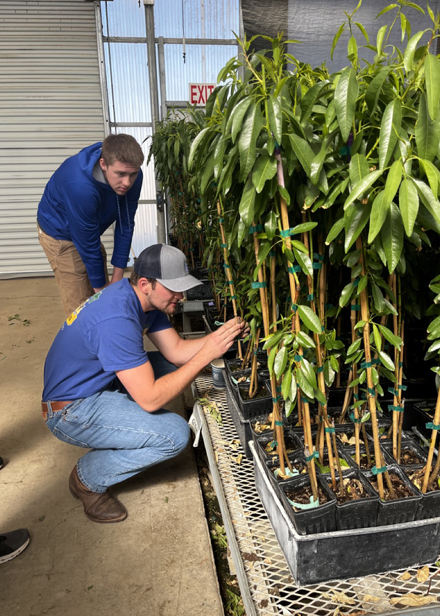 The UW-River Falls Crop Judging Team examined plants during competition as part of the NACTA Student Judging Contest 