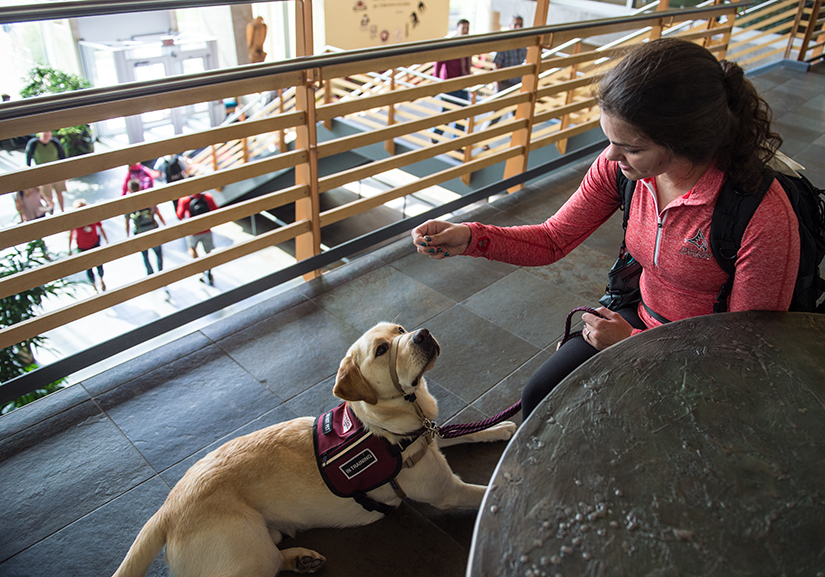 Teagen Steffen ADPET service dog