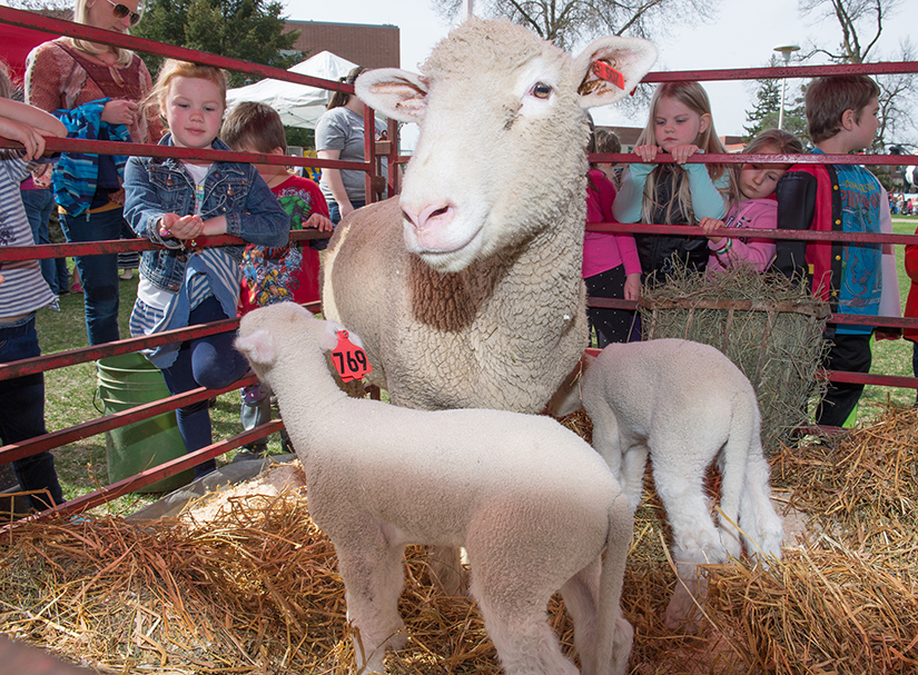 Ag Day 2017