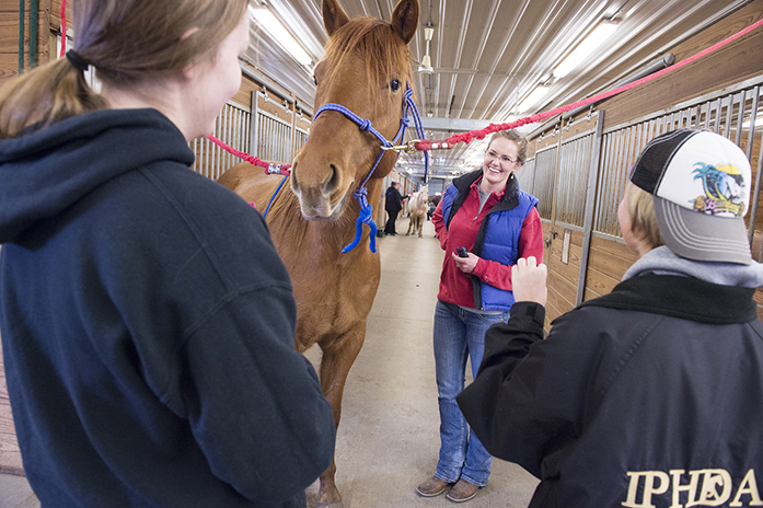 Casie Bass equine research