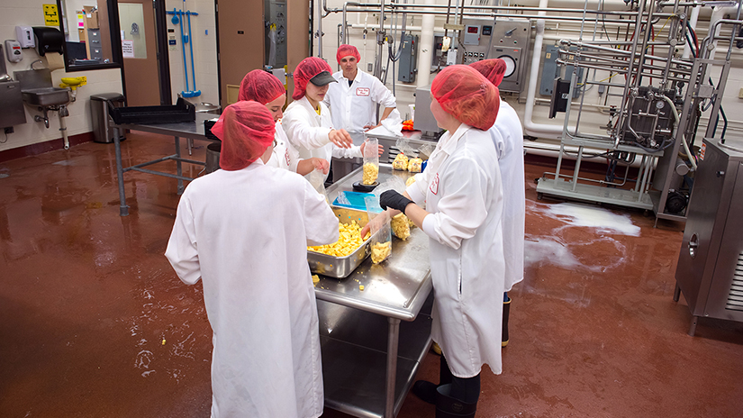 UWRF Dairy Pilot Plant Last Cheese 