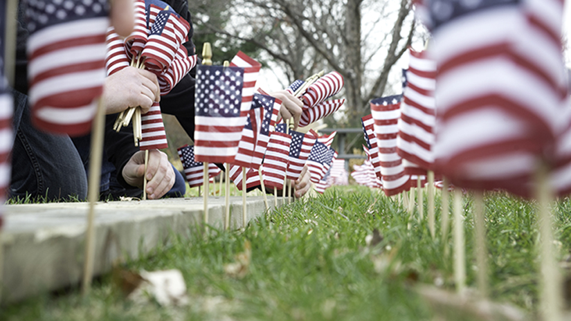 Veterans Flags on the UC lawn 