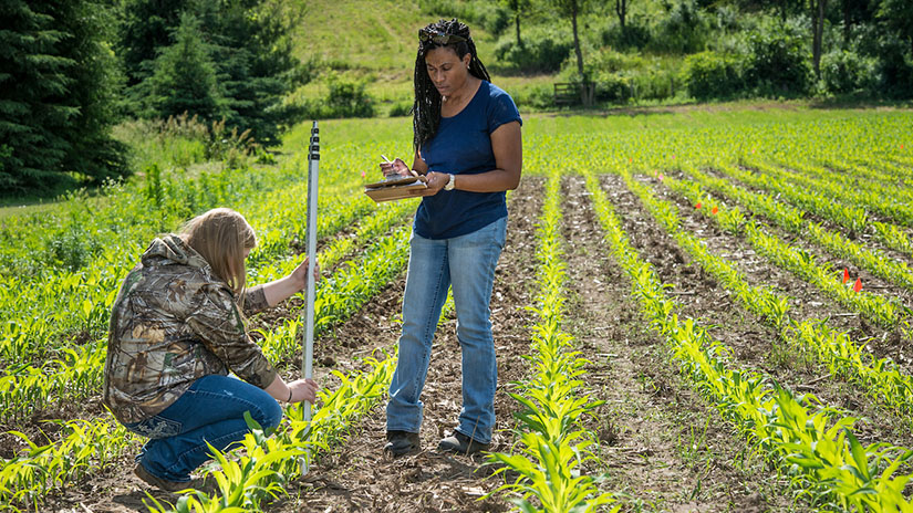 Crops and Soils Research Natasha 2017