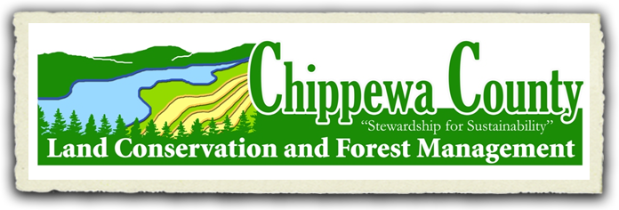 Chippewa County