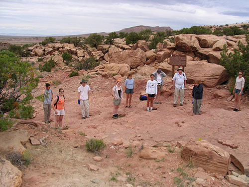 Dino Trackway