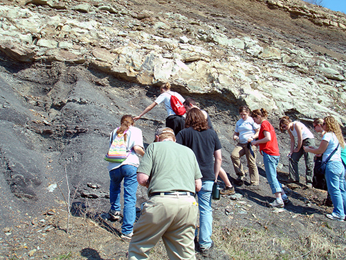 Looking for tree fossils