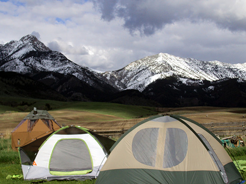 Our camp in Ward's backyard