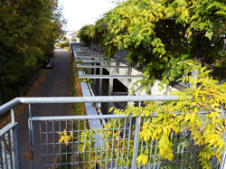 MalloryWestlund_ShoppingMallRooftop_Garden_web