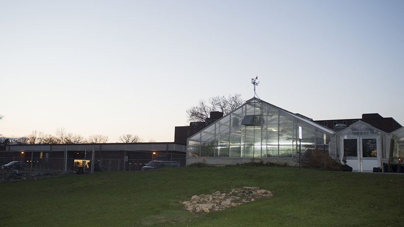 Horticulture Greenhouse