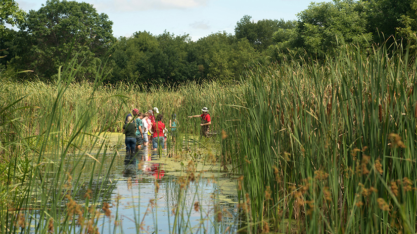 Restoration institute pond