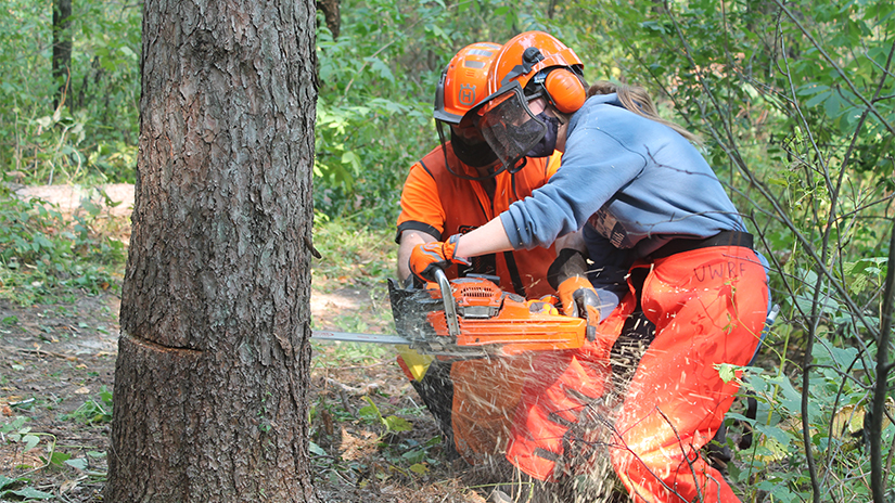 WEB Restoration institute chainsaw