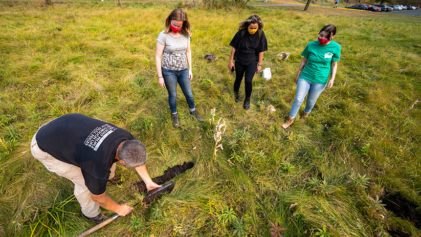 Wetland delineation Ecological Restoration Institute