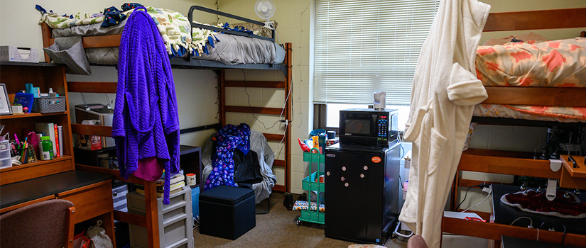 Ames double bedroom including two lofted beds, a microwave/minifridge unit, desks, chairs, and personal belongings.