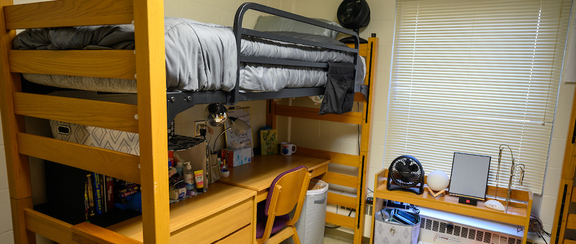 A student double room in Crabtree hall with a lofted bed. A desk and dresser are under the bed.