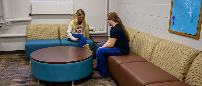 Prucha basement study room includes seating