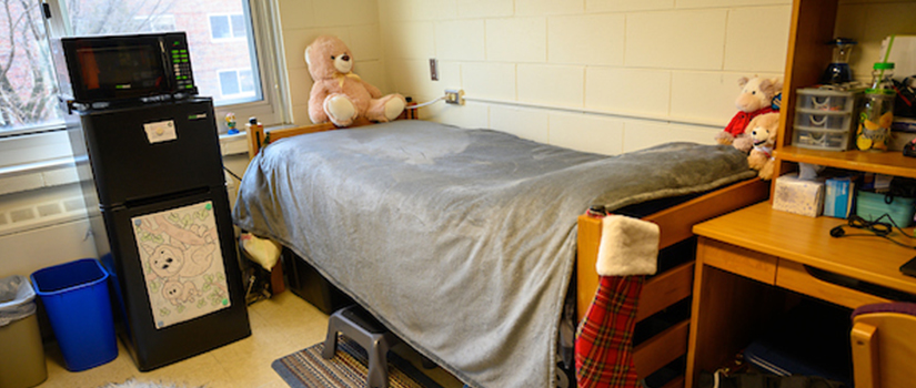 Photo of a residence hall room including bed, microfridge unit, and desk