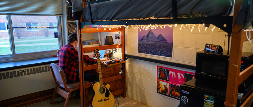 Inside a Stratton room with a built-in desk and cupboard, as well as a lofted bed.