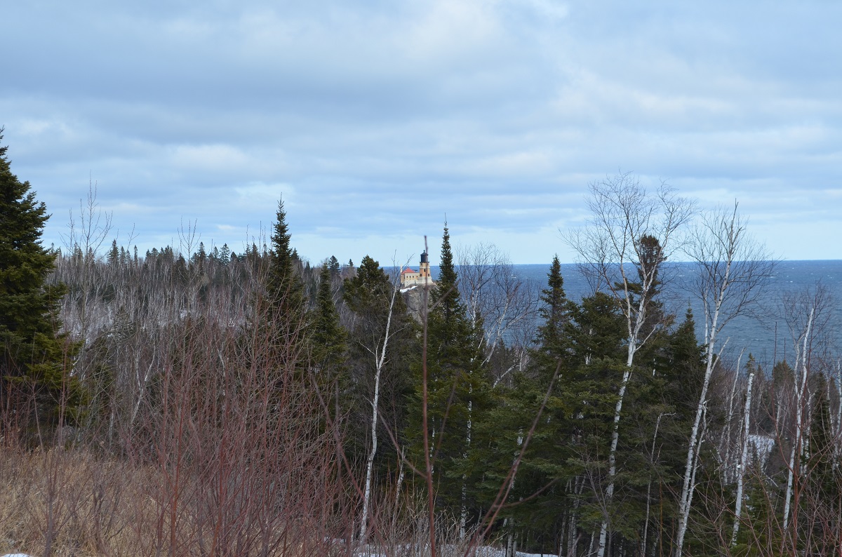 Lighthouse and Forrest