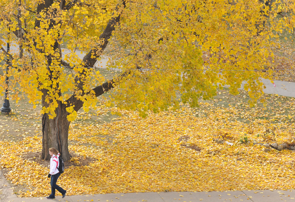 student on campus in Fall 2011