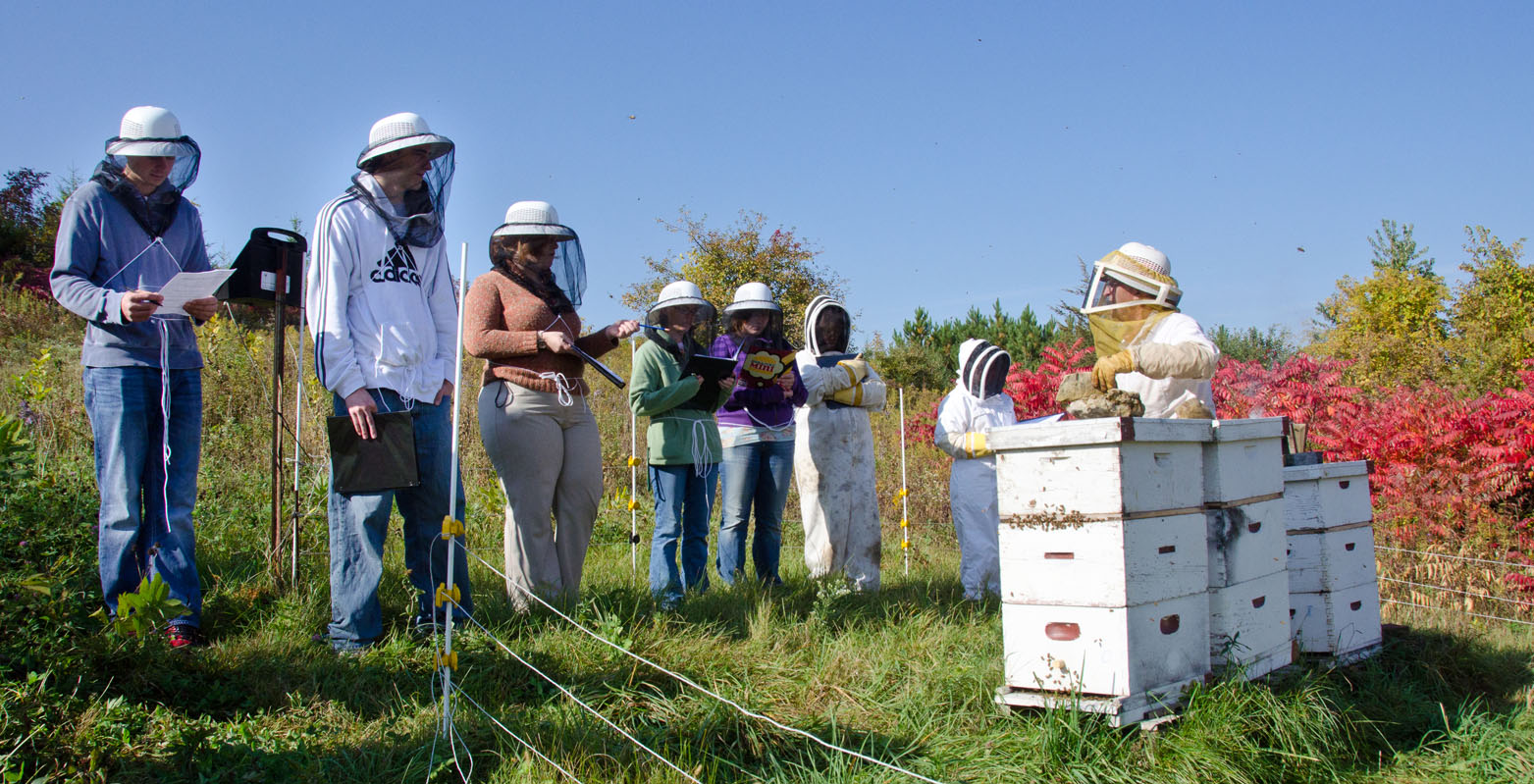 Bee class at apiary