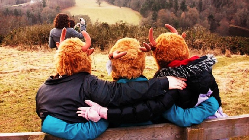 hairy coo heads hairy coo heads