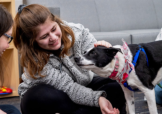 Animal Science student pets a dog during class