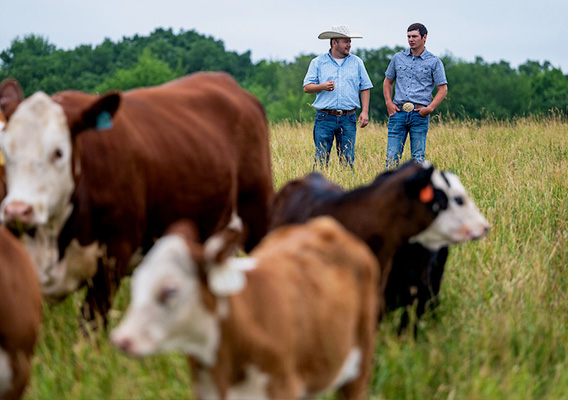 A professor and student overlook a field of cows