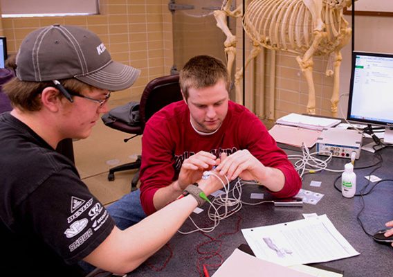 Two Veterinary Technology students conduct an experiment in class