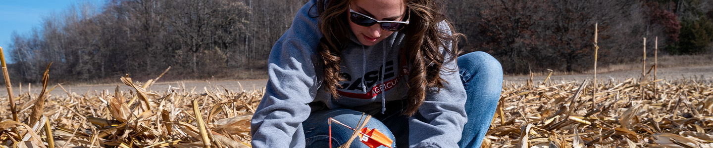 Student kneeling in a dry field studying corn stalks