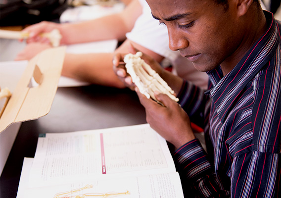 Anatomy student studies the bones in the human foot