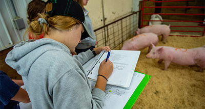 Animal Science student writing in notebook in front of pig pen at the campus farm