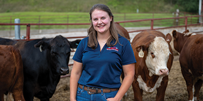 Ashlynn in a pen with beef cattle