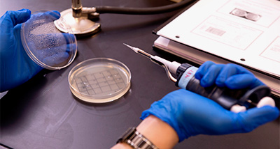 Student holds pipette over petri dish in a Biology class