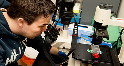 Biology student looks through a microscope at a slide