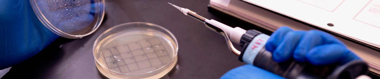 Student holds pipette over petri dish in a Biology class