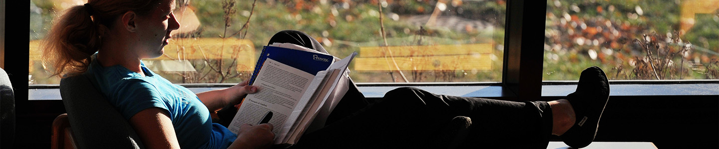 A student reading in an armchair in front of a window