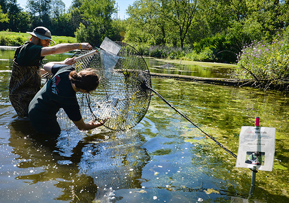 Conservation students participate in snapping turtle research in the Kinnickinnic River