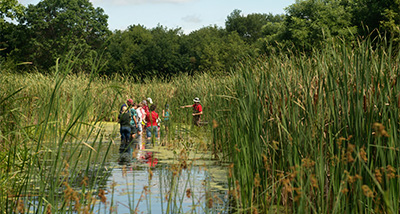 Group of Conservation Students stand knee deep in a local pond