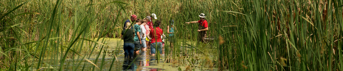 Group of Conservation Students stand knee deep in a local pond