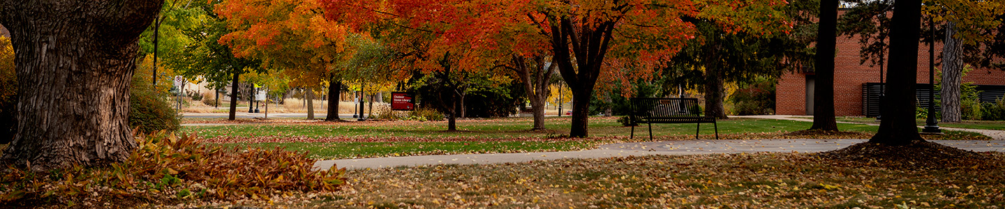 UWRF Campus in the fall