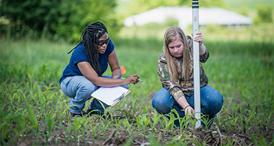 Two agriculture students study the soil in a corn field
