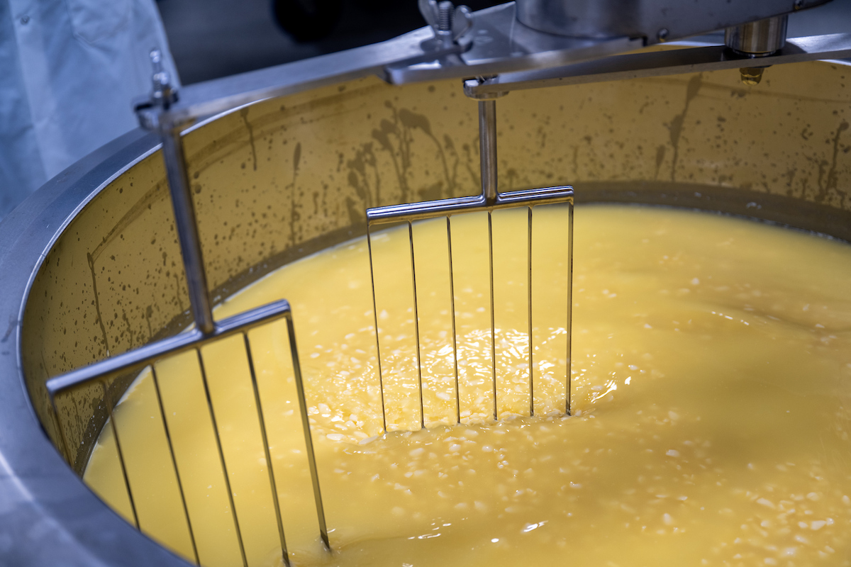 large vat of in process cheese