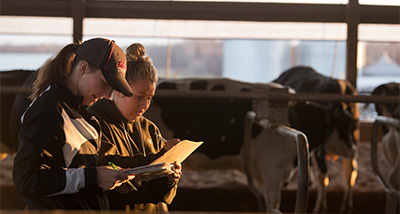Two Dairy Science students take notes inside a barn at the campus farm