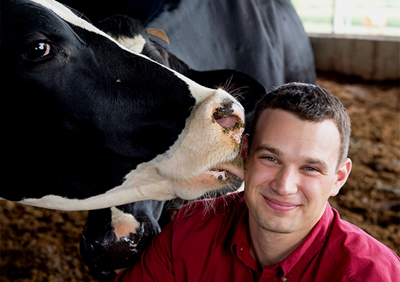Animal Science student gets licked in the face by a cow on the campus farm
