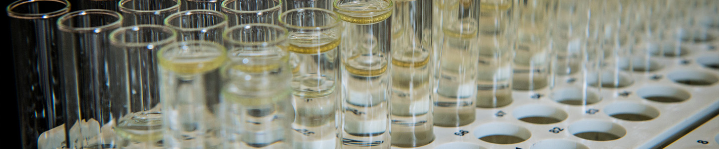 Rows of test tubes are ready in an Environmental Sciences lab