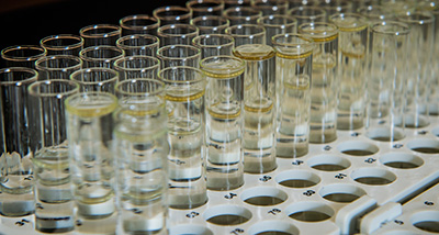 Rows of test tubes are ready in an Environmental Sciences lab
