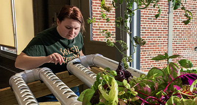 Agricultural student building an Aquaponic growing system